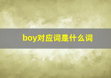 boy对应词是什么词