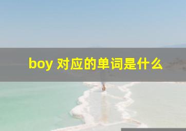 boy 对应的单词是什么