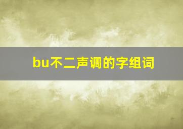 bu不二声调的字组词