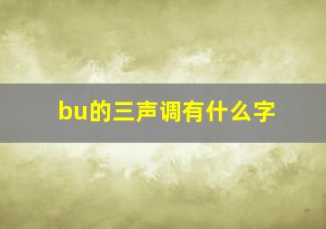 bu的三声调有什么字