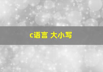 c语言 大小写