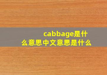 cabbage是什么意思中文意思是什么