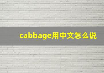 cabbage用中文怎么说