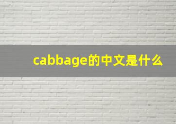 cabbage的中文是什么