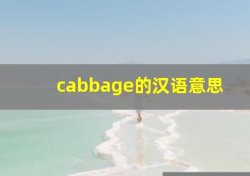 cabbage的汉语意思