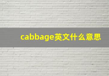 cabbage英文什么意思