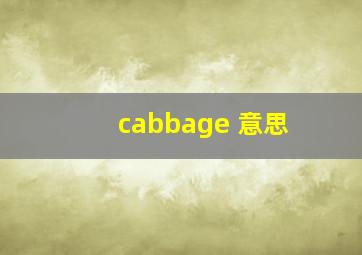 cabbage 意思