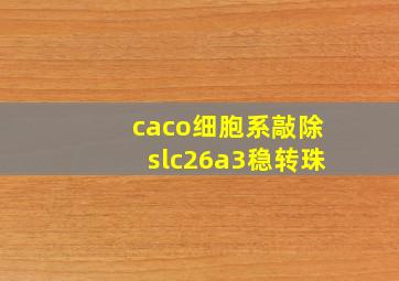 caco细胞系敲除slc26a3稳转珠