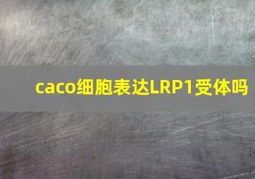 caco细胞表达LRP1受体吗