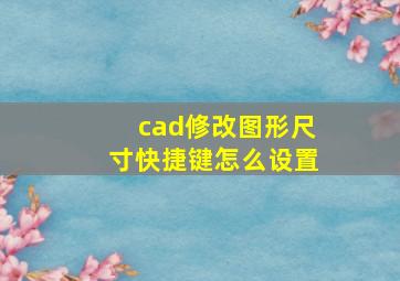 cad修改图形尺寸快捷键怎么设置