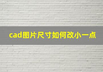 cad图片尺寸如何改小一点