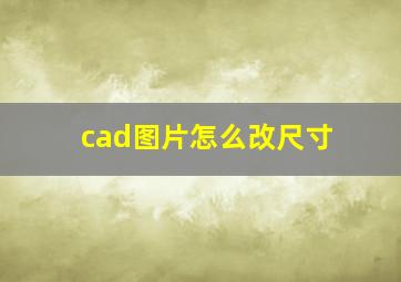 cad图片怎么改尺寸