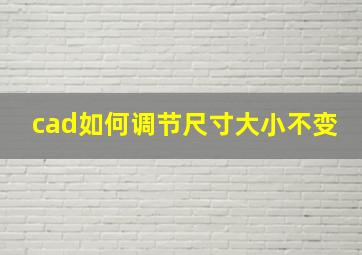 cad如何调节尺寸大小不变