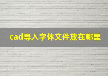 cad导入字体文件放在哪里