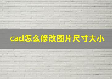 cad怎么修改图片尺寸大小