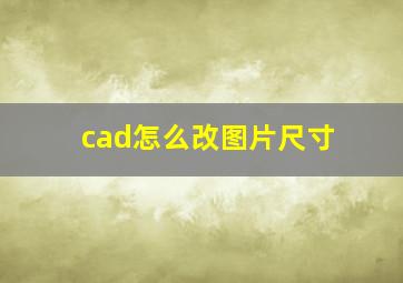 cad怎么改图片尺寸