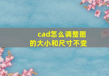 cad怎么调整图的大小和尺寸不变