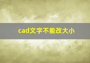 cad文字不能改大小