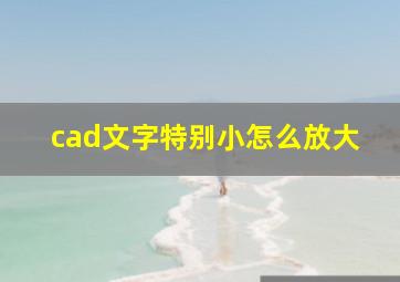 cad文字特别小怎么放大