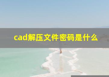 cad解压文件密码是什么