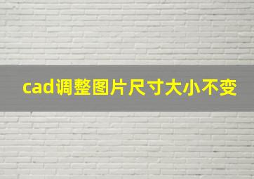 cad调整图片尺寸大小不变