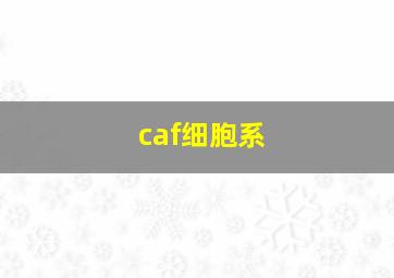 caf细胞系