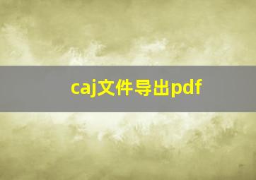 caj文件导出pdf