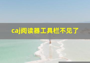 caj阅读器工具栏不见了