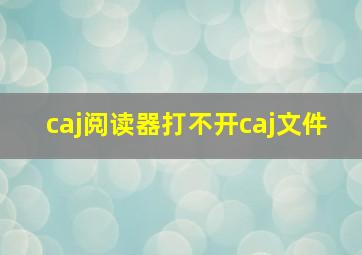 caj阅读器打不开caj文件