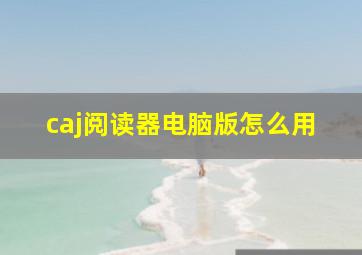 caj阅读器电脑版怎么用