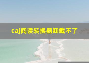 caj阅读转换器卸载不了