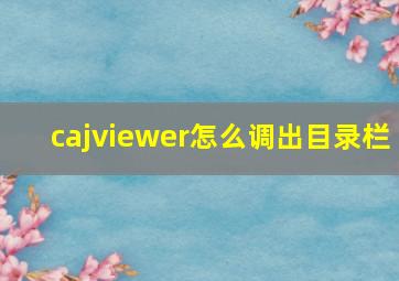 cajviewer怎么调出目录栏