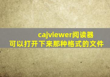 cajviewer阅读器可以打开下来那种格式的文件