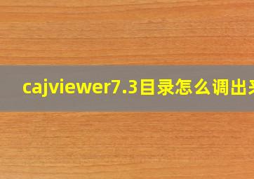 cajviewer7.3目录怎么调出来