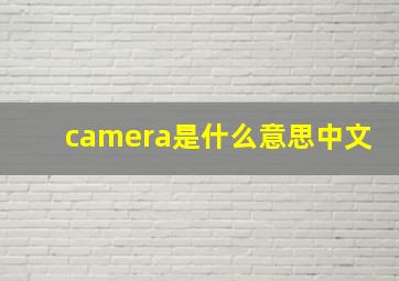 camera是什么意思中文