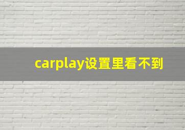 carplay设置里看不到