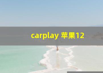 carplay 苹果12