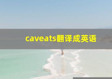 caveats翻译成英语