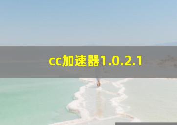 cc加速器1.0.2.1