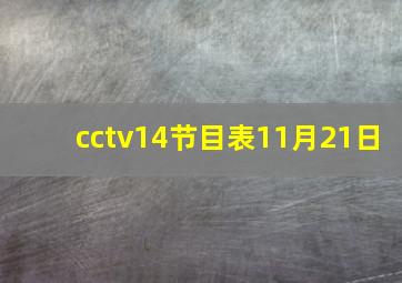 cctv14节目表11月21日