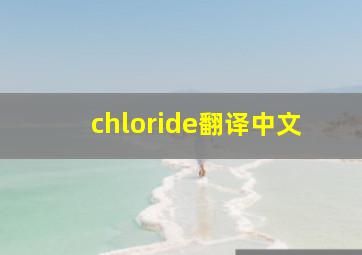 chloride翻译中文