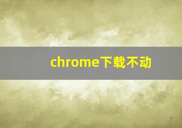 chrome下载不动