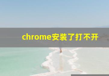 chrome安装了打不开