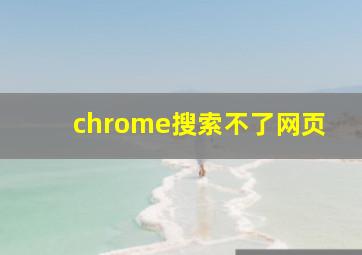 chrome搜索不了网页