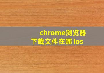 chrome浏览器下载文件在哪 ios