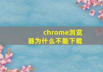 chrome浏览器为什么不能下载