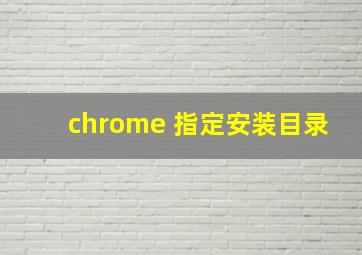 chrome 指定安装目录