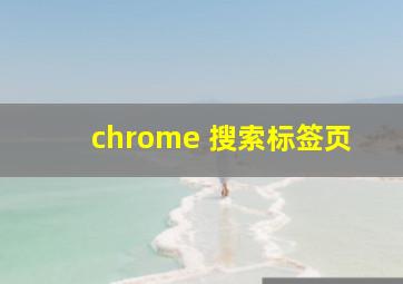 chrome 搜索标签页