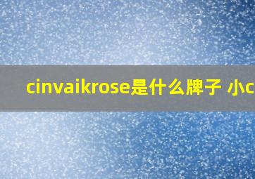 cinvaikrose是什么牌子 小ck