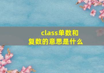 class单数和复数的意思是什么